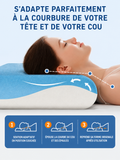 Oreiller cervical Elysera, soutien du cou, forme ergonomique pour la tête